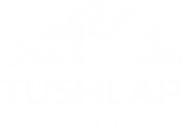 Tushlar Vodiysi